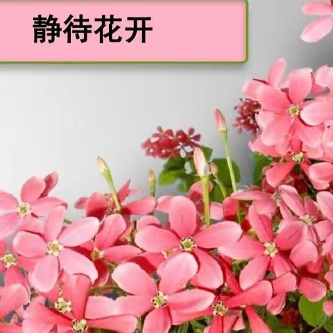 【建安小学】孩子成长路上，家校牵手共进静待花开——夏季初期家长沟通交流会