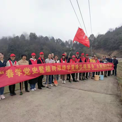 白箬铺镇龙莲村：开展 “春学党史暨植树添绿学雷锋志愿服务”主题党日义务植树活动