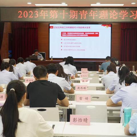 洛南县税务局开展2023年第十期青年理论学习