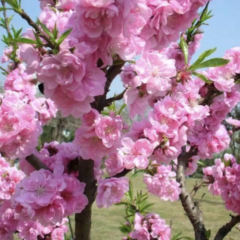 张容与191413的简篇