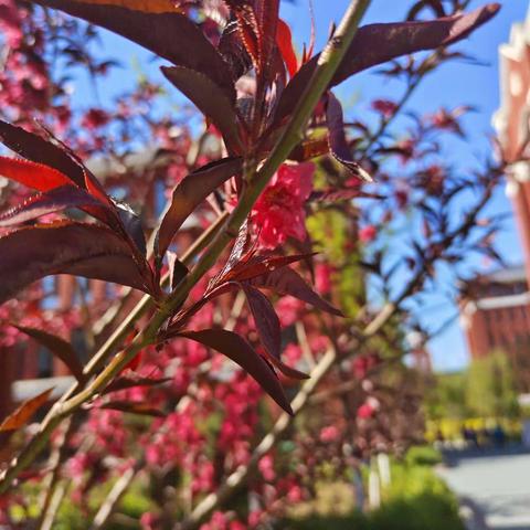 张容与191413的简篇