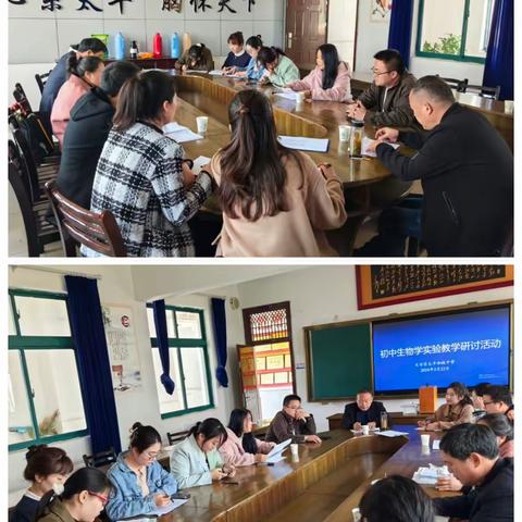 研讨促进步，交流同成长