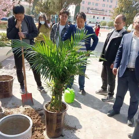 高台镇初级中学开展植树节活动