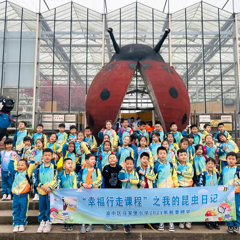 【久佰行走课堂】渝中区马家堡小学校一年级四班丨“幸福行走课程”之“我的昆虫日记”2024年秋季研学活动