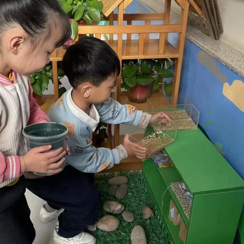 自然教育《水培小豆子》亲近大自然，探索植物生长奥妙