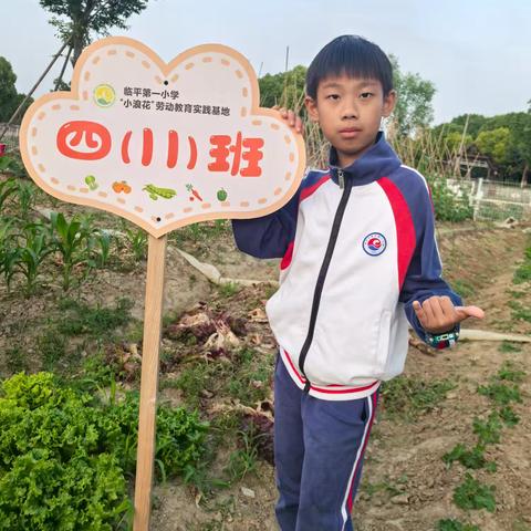 临平一小411中队彩浪小队“小浪花”劳动教育实践基地农场实践活动纪实