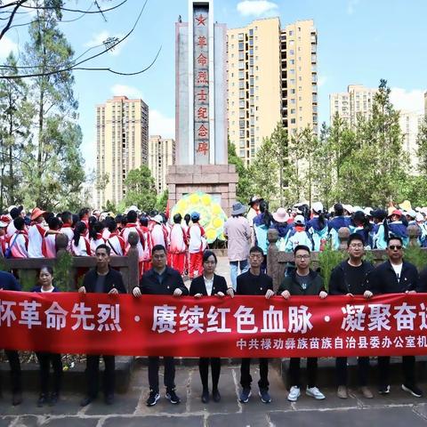缅怀革命先烈 赓续红色血脉 凝聚奋进力量——县委办机关党支部赴烈士陵园开展清明祭扫活动