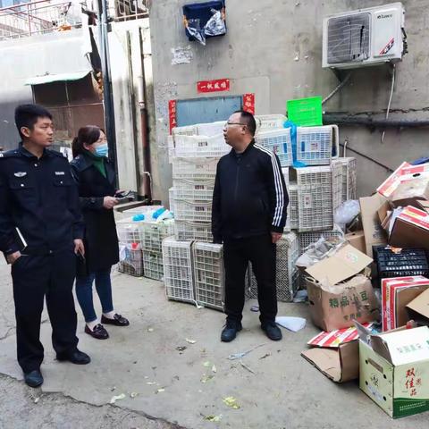 让蓝孔雀回归家园 动物园相聚