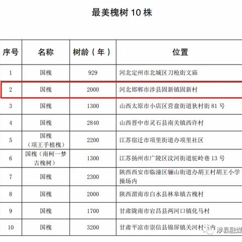 涉县古槐被评为全国最美古树之一