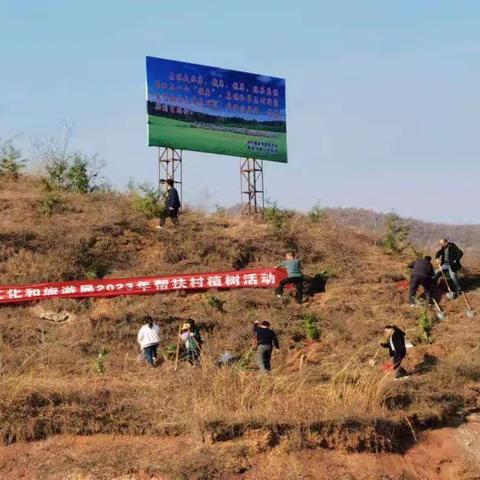 荒山换新颜，青山代代传