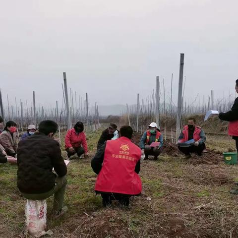 田间地头听政策，干群同心论发展