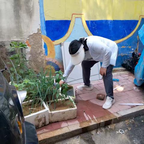 雨隙“出击”！甸柳新村街道筑牢夏季病媒防治“防护墙”