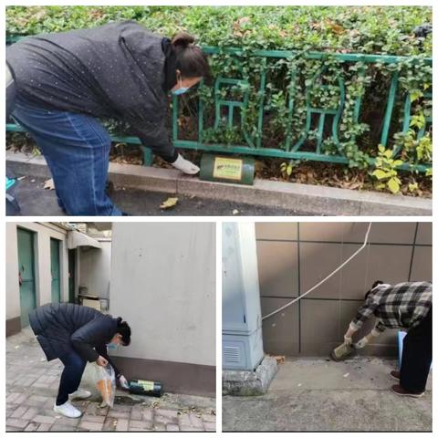 爱国卫生暖冬行：防病媒、倡控烟、清环境