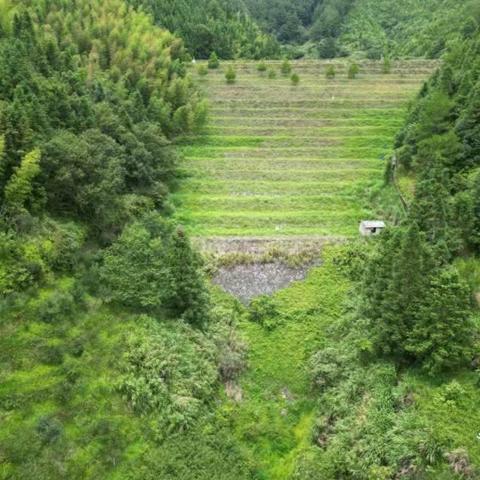 福建省环保设计院到尤溪县开展尾矿库环境风险现场排查