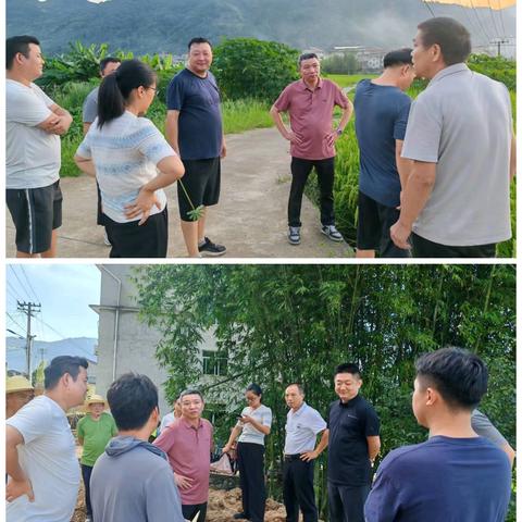 尤溪县多部门联合发力，推进台溪乡农村生活污水攻坚治理