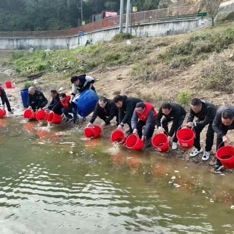 部门联动增殖放流，守护水域生态平衡