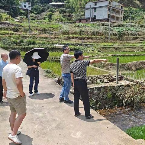 尤溪生态环境局扎实推进农村生活污水治理项目