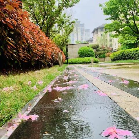 【德•润颍川】“遇见家乡的春天” ——长葛市颍川路学校小记者优秀摄影作品展示