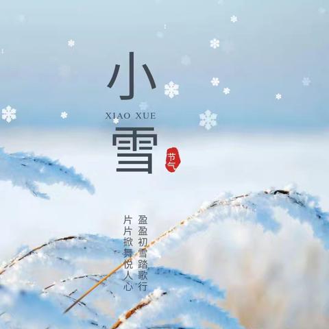 “知节气 迎小雪” ～～六年级组活动