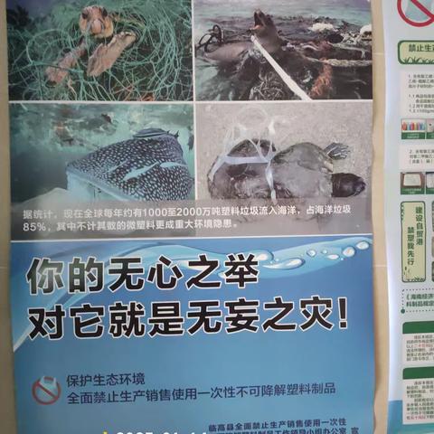 县城投公司开展禁塑宣传活动