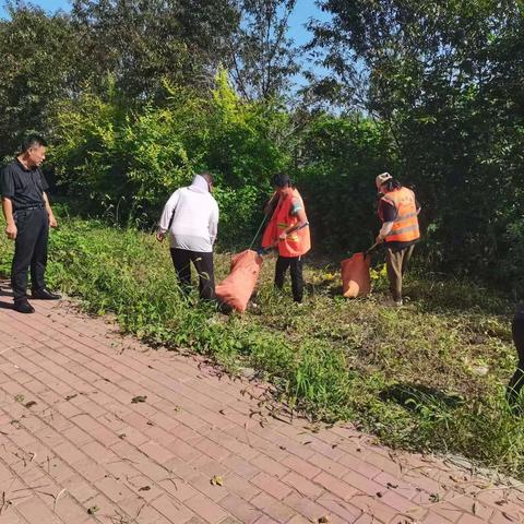 【卫都清扫公司】突击锦田路未接路段，提升城区道路颜值