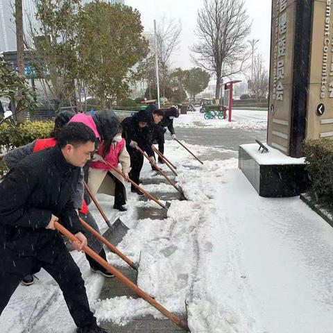 以雪为令  西城在行动