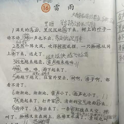 第六单元复习笔记📒