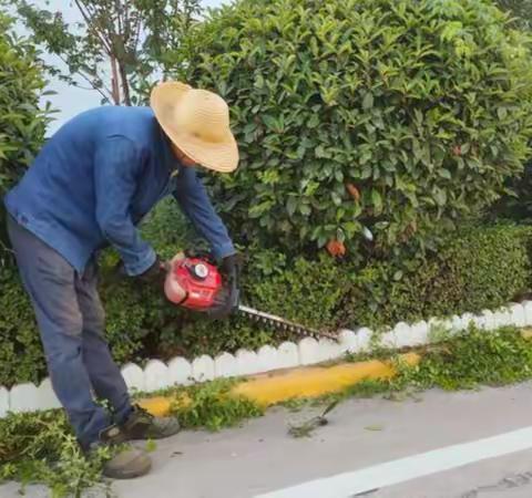 韩城市绿委办 ‖全市秋冬季镇村绿化工作动态