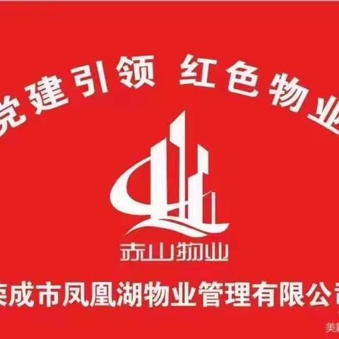 凤凰湖香湖丽舍周工作回顾