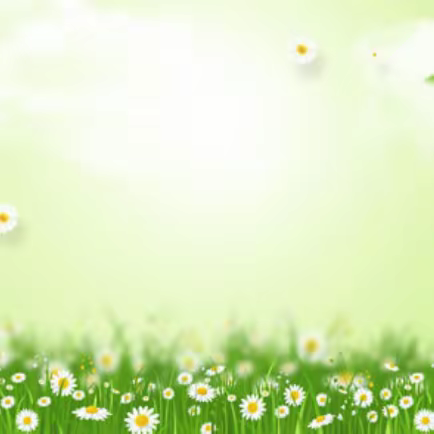 生活即教育，劳动创造美——记安吉外国语学校803-804班劳育课