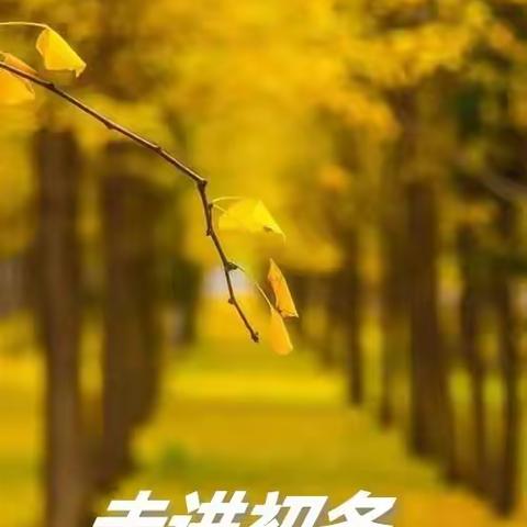 “研”途皆知识，炊烟品生活——记安吉外国语学校904初冬研学活动