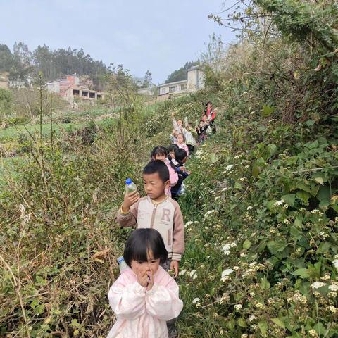 踏春赏花，不辜负好时光