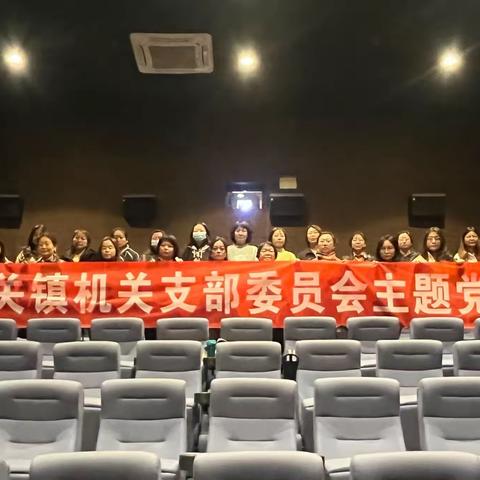 城关镇机关党支部开展观影《踢球吧，少年》主题党日活动