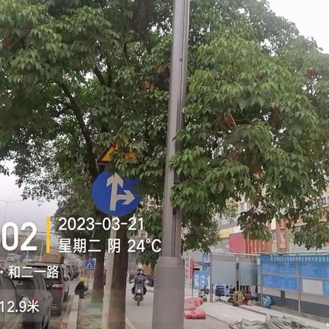 深圳宝安北控城市服务有限公司—沙井街道绿化管养2023年3月20日至3月24日工作周报