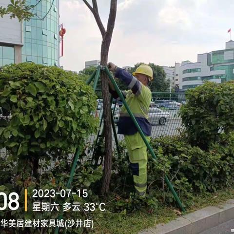 沙井绿化台风前工作部署简报