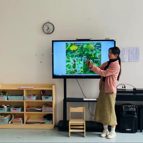 西贝幼儿园小二班食育课—黄花苗煎饼