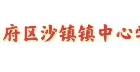 向阳而生 逐梦而行——东昌府区沙镇镇中心学校教学工作纪实