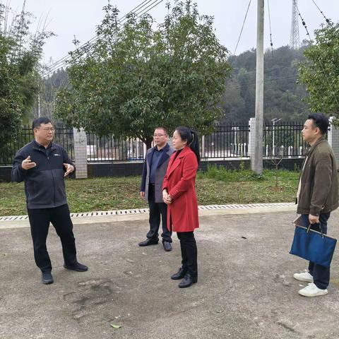 春意暖校园，关怀助成长 ——教育局领导到我校开展视导工作