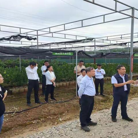 黄聪率队到海垦龙江农场公司开展垦地产业融合发展现场调研