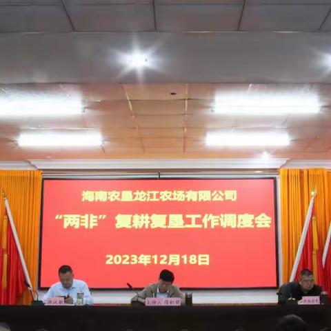 海南农垦龙江农场有限公司“两非”复耕复垦工作调度会