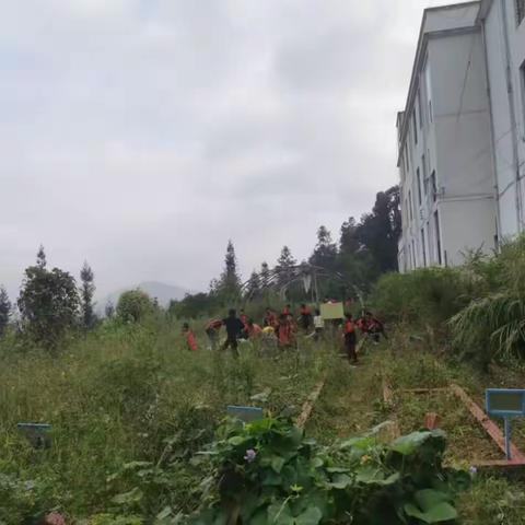 劳动基地结硕果，劳动教育显成效