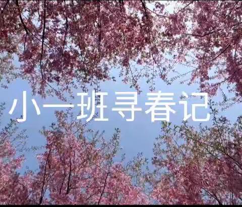 寻春之旅🌸——寻找春天的色彩