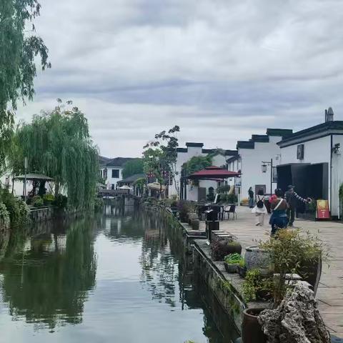 轻纺城支行组织开展“享受慢生活 守护幸福家”母亲节主题财富沙龙活动