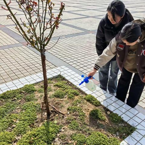 明光市嘉山中学开展“3.12植树节”主题实践活动