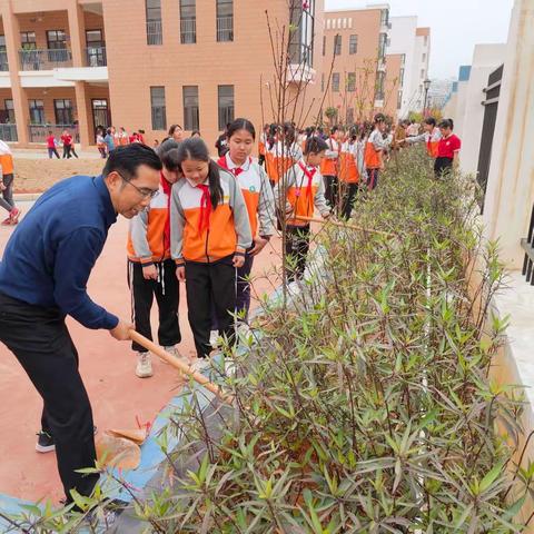 植绿护绿 • 美化环境——覃塘区实验小学2023年3.12植树节主题活动