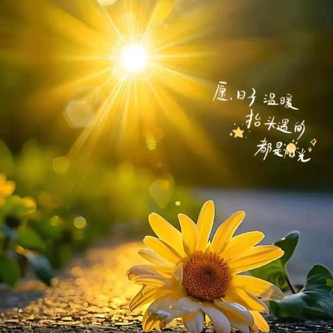 “心”光熠熠   照耀成长之路———《中学生常见心理问题及教育策略》专题讲座