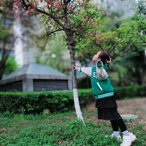与春同行，不负时光——金山学校一二班清明节踏春活动