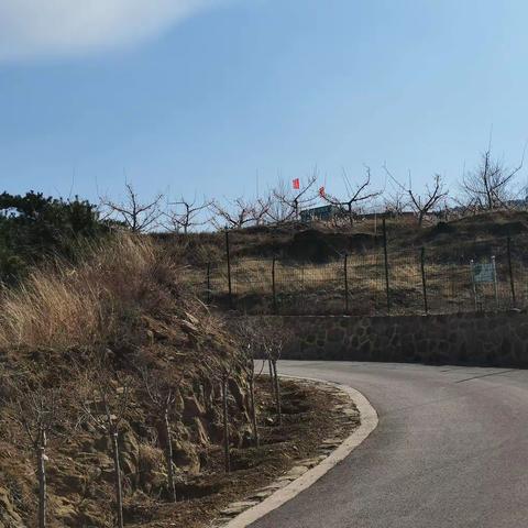 文明祭祀    守护家园