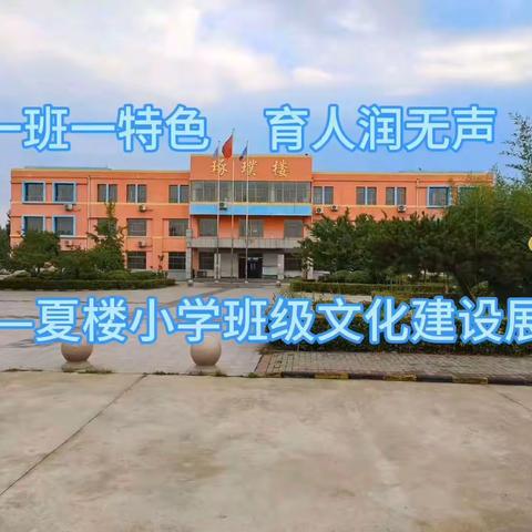 一班一特色 育人润无声——夏楼小学班级文化建设展示