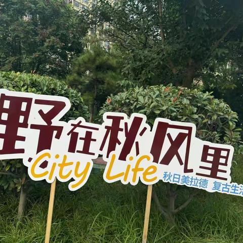 【振头街道】盛世御城社区妇联举办“野在秋风里”复古生活节活动